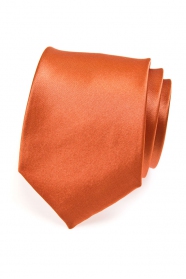 Cravată de cărămidă pentru bărbați